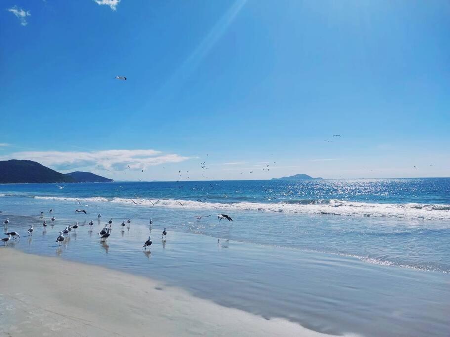 Apartamento Aconchegante Nos Ingleses Sc Florianópolis